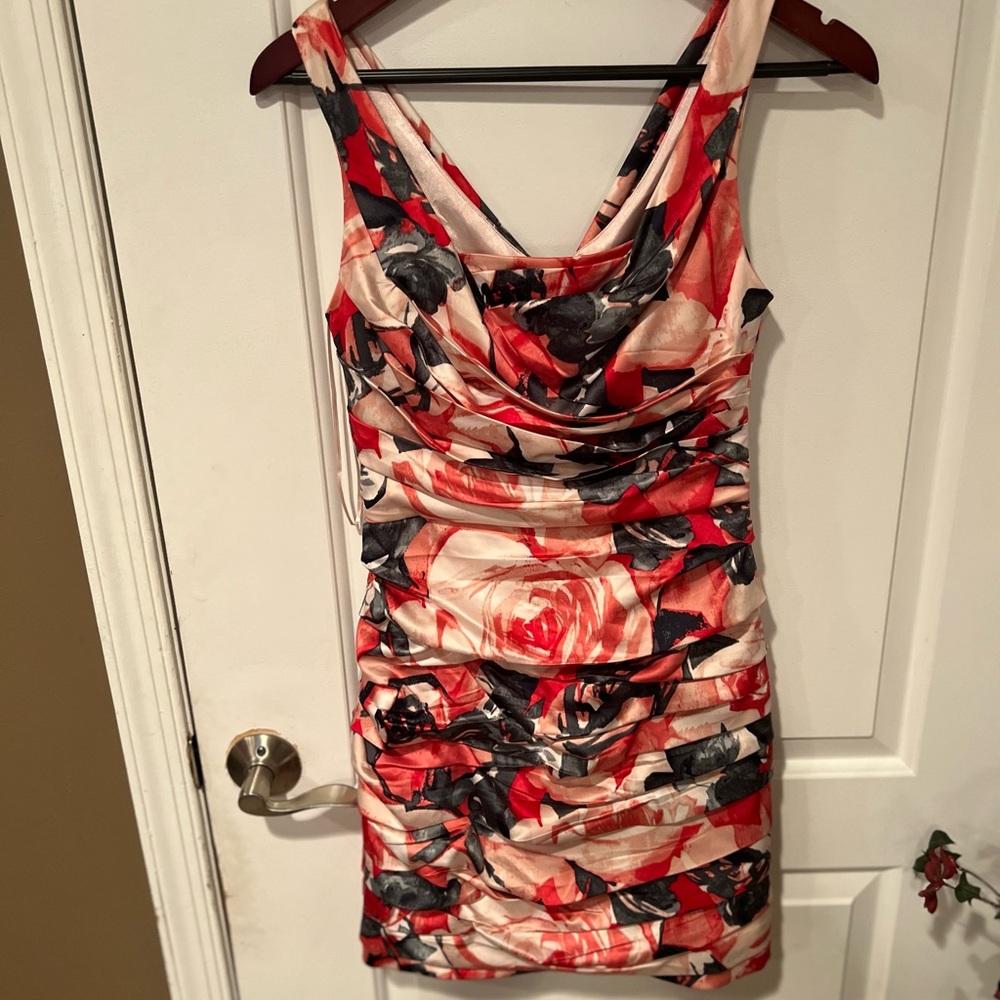 Express dress size 2, inside lined